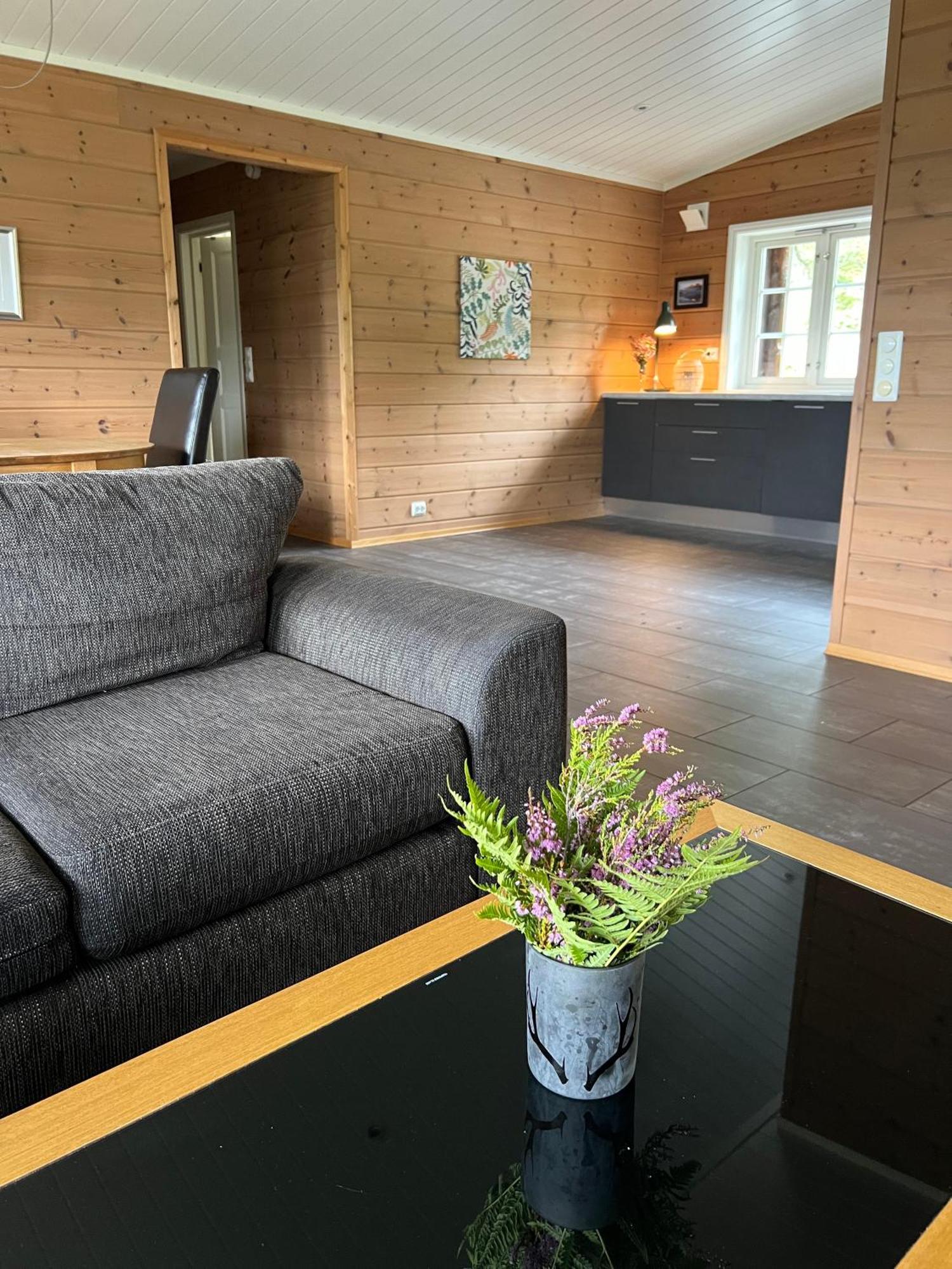 Hydlahytta Stryn Villa Kültér fotó